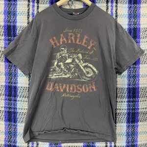 Harley Davidson Mens Large Brown Graphic Tee Motorcycle Rider Distressed Flaws